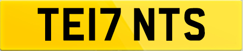 TE17 NTS