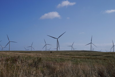 Windfarm 