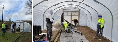 CEI Zone polytunnel