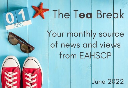 June newsletter header image of a pair of red Converse shoes and a pair of sunglasses against a blue wooden background