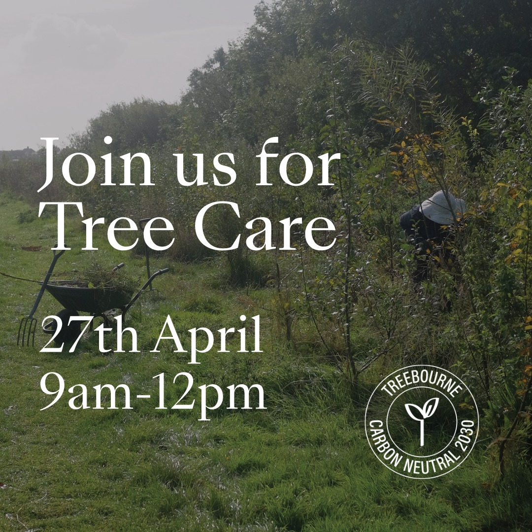 Tree Care Saturday