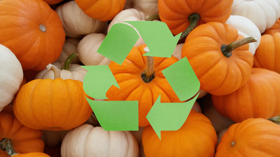 pumpkins