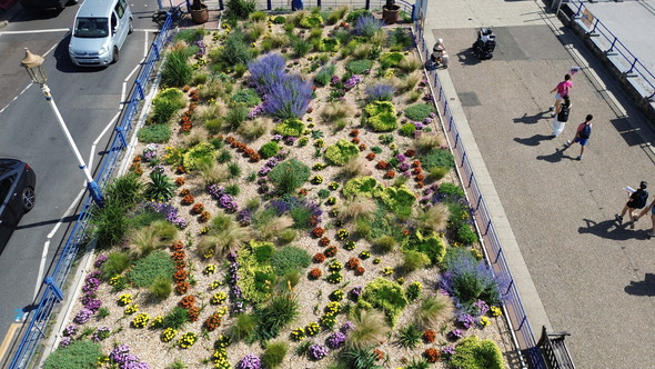 Carpet gardens