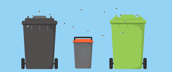 flies fying around black, green and food bins