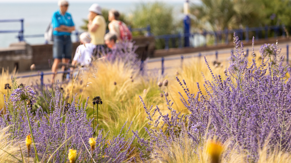 Eastbourne Carpet Gardens