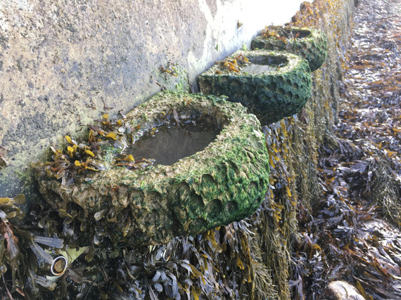 Vertipools
