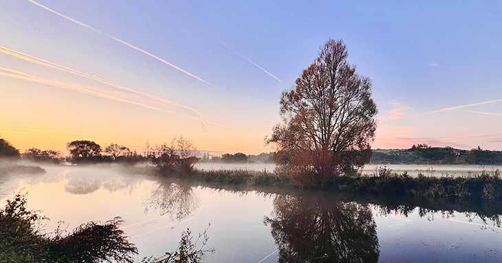 Tree Photography Competition