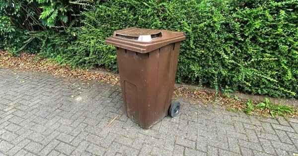 Brown bin