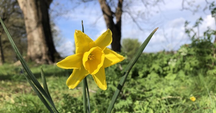 Exeter’s Northbrook Park springs into life
