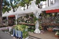 Street market