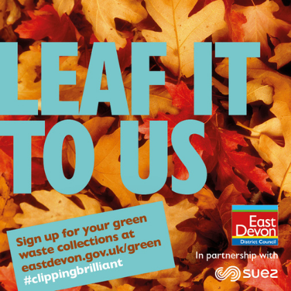Leaf it to us this Autumn