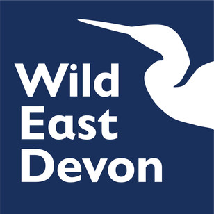 Wild East Devon