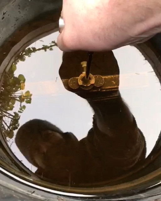 Adjusting water levels at Seaton Wetlands