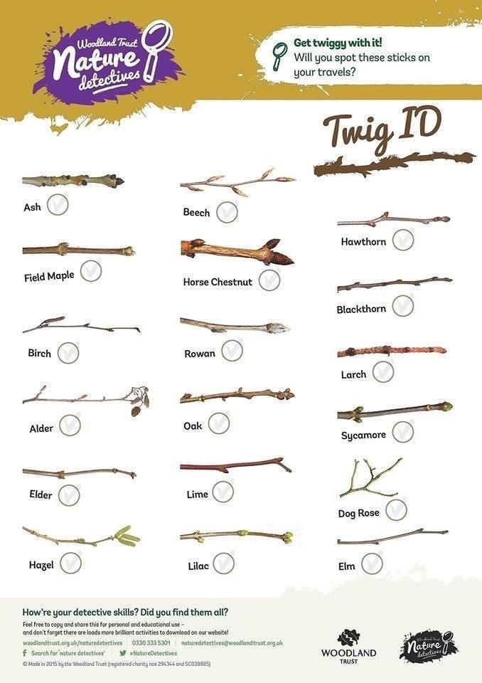 Twig guide