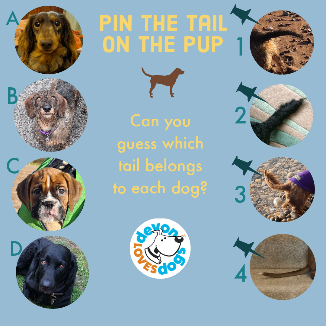Pin the Tail poster