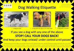 Poster explaining dog walking etiquette