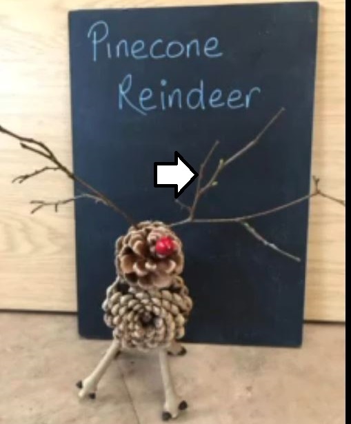 Pine cone reindeer