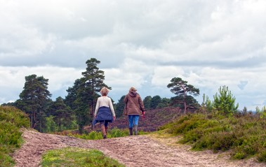 walkers on Pebblebed Heaths