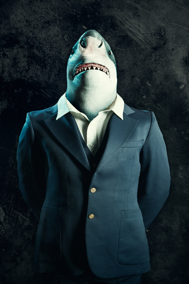 Loan shark 
