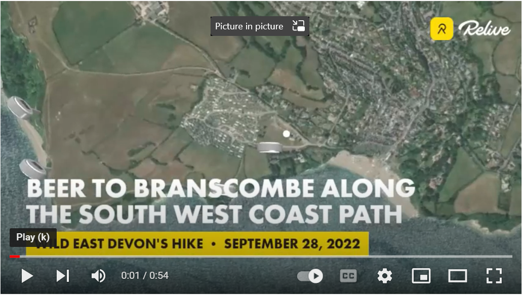 walk with Wild East Devon