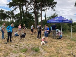 Group of walkers and their dogs in front of the gazebo