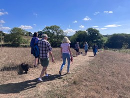 Group of dog walkers at Cranbrook Country Park