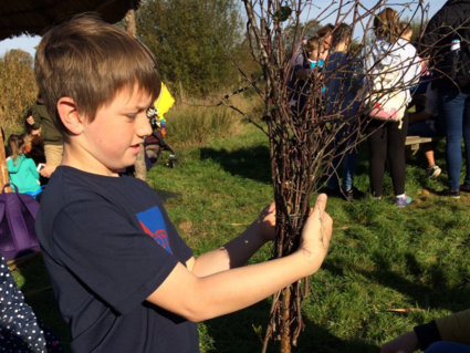 halloween wild east devon