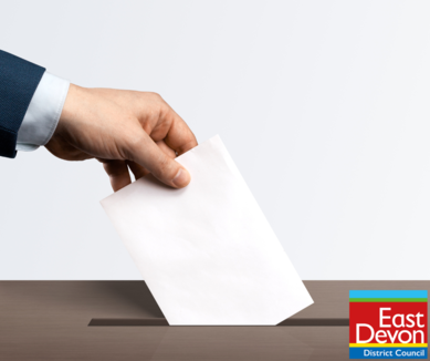 district by election