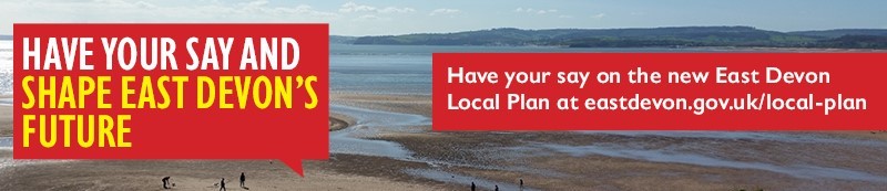 local plan banner 