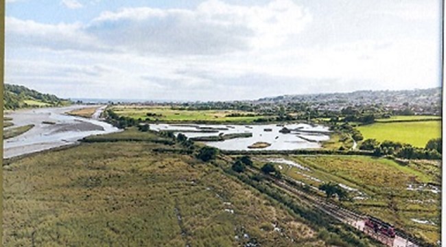 front-cover-axe-birds_sm