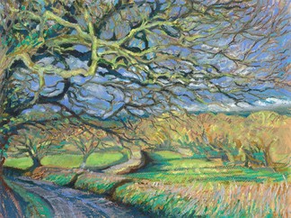 Lane to Poltimore copyright Mandi Street