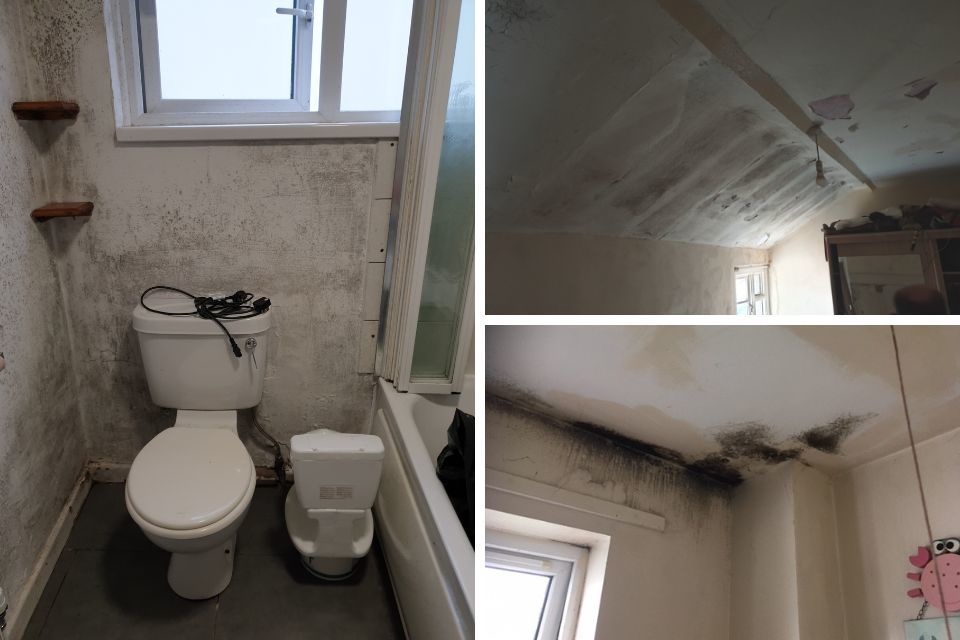 Photographs of the mould and damp at the Exmouth house