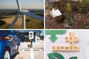 Net zero carbon collage - tree planting, wind turbines, electric vehicle charging