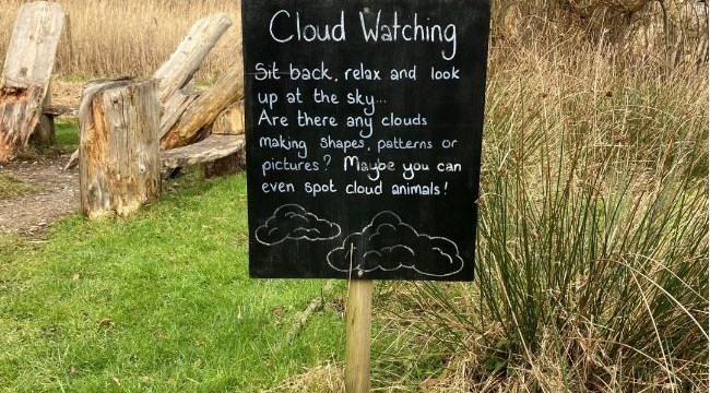 Cloud watching sign at Seaton Wetlands Sensory Trail