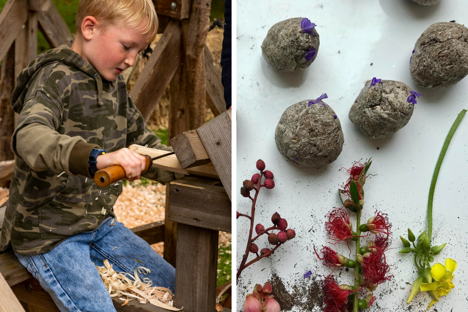 Collage including photos of a child taking part in woodworking and a seed bomb