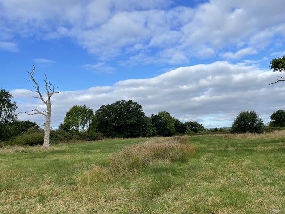 proposals for new green space near Broadclyst