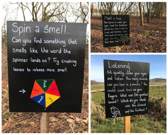 Seaton Wetlands sensory trail