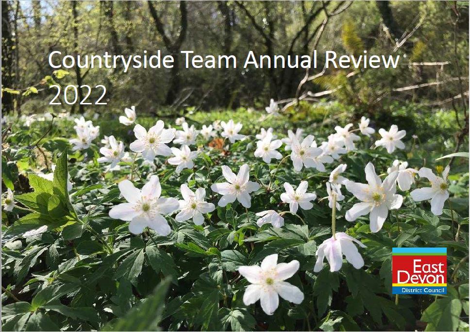 Annual Review 2022