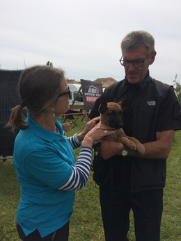 Meeting a Police Dog puppy at Devon County Show