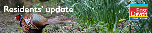 Residents' Update banner image. photo of pheasant and daffodils. Credit: Hal Barker