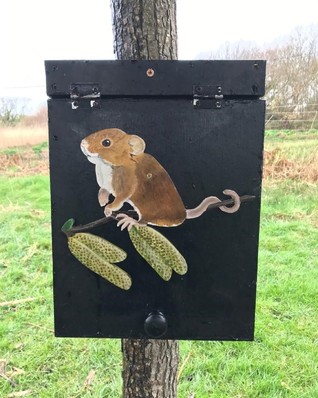 illustration of harvest mouse on Seaton Wetlands nature trail