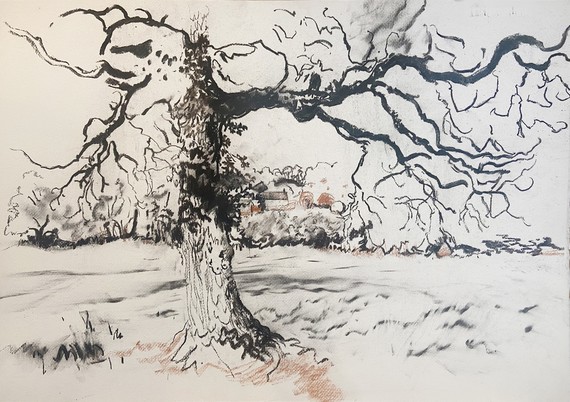 © Fiona McIntyre, Evolution of Time, Hart’s Farm