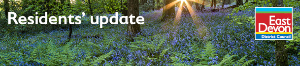 Residents' Update banner image of bluebells in woodland. Credit: Matt Wilson
