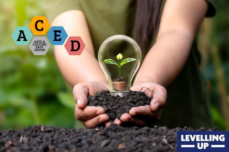 ACED logo and Levelling Up logo on top of image of person holding lightbulb with plant growing inside