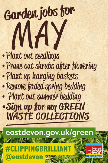 Garden jobs for May - plant out seedlings, prune out shrubs after flowering, plant up hanging baskets... sign up for green waste collections