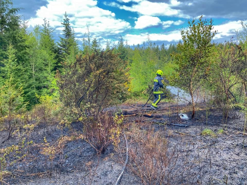 Photo of a wildfire in a woodland that was caused by a disposable barbecue