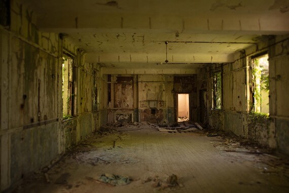 © Corinna Wagner, Asylum - picture of room in state of disrepair, with rubble on the ground and ivy growing where windows used to be