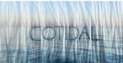 COTIDAL