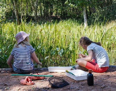 A photo of two children pond dipping on the Pebblebed Heaths