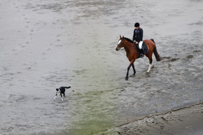 horse rider on a beach